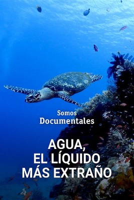 Agua, el líquido más extraño