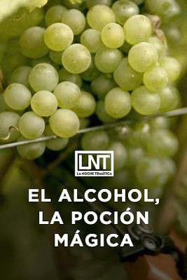Alcohol, la poción mágica