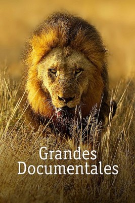 Atracción animal
