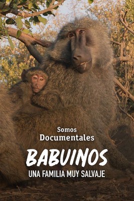 Babuinos. Una familia muy salvaje