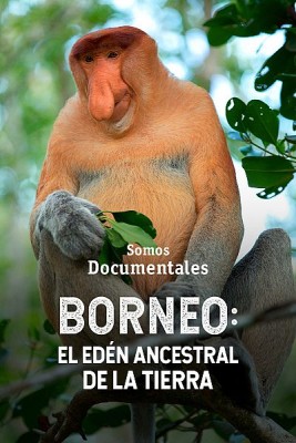 Borneo: el edén ancestral de la Tierra