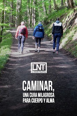 Caminar, una cura milagrosa para cuerpo y alma
