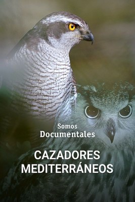 Cazadores mediterráneos