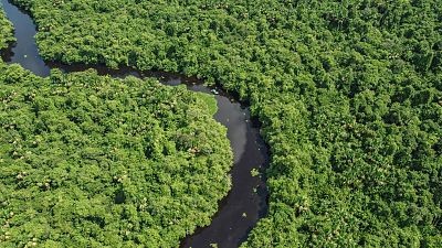 Colombia. Entre el Orinoco y el Amazonas