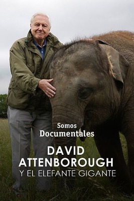 David Attenborough y el elefante gigante