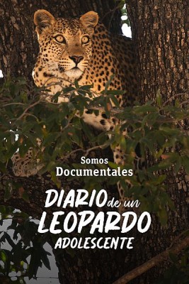 Diario de un leopardo adolescente
