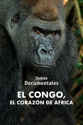 El Congo, el corazón de África