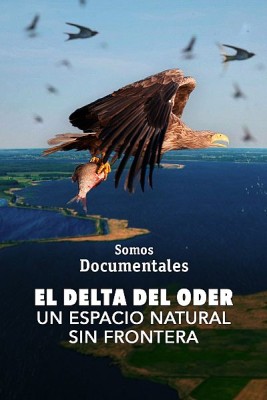 El delta del Oder. Un espacio natural sin frontera