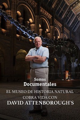 El Museo de Historia Natural cobra vida con David
