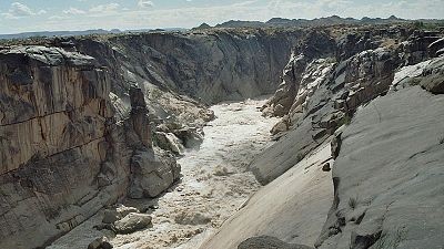 El oasis lineal