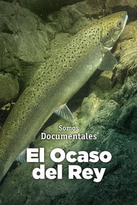 El ocaso del Rey