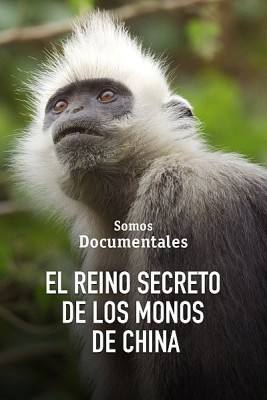 El reino secreto de los monos de China