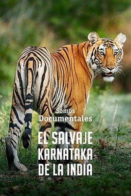 El salvaje Karnataka