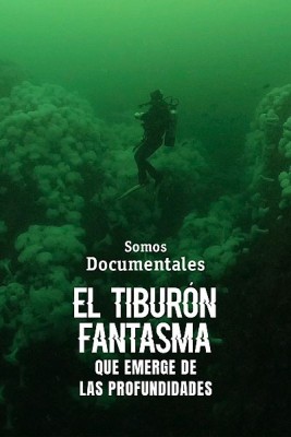 El tiburón fantasma que emerge de las profundidades