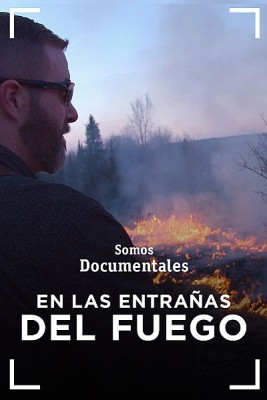 En las entrañas del fuego