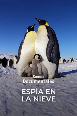 Espía en la nieve