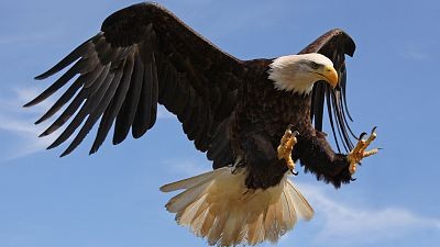 Fuerzas aéreas