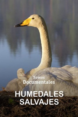 Humedales salvajes