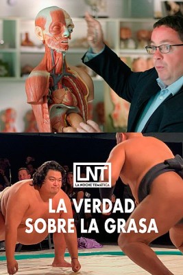La verdad sobre la grasa