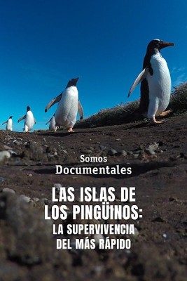 Las islas de los pingüinos: La supervivencia del más rápido
