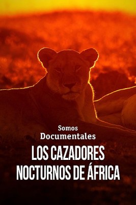 Los cazadores nocturnos de África