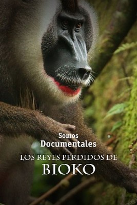 Los reyes perdidos de Bioko