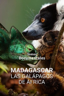 Madagascar, las Galápagos de África
