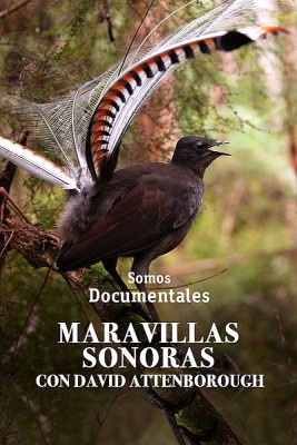 Maravillas sonoras con David Attenborough