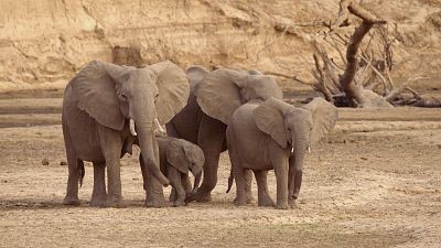 Mitos de África