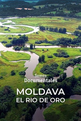 Moldava, el río de oro