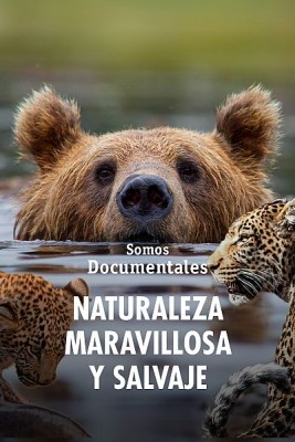 Naturaleza maravillosa y salvaje