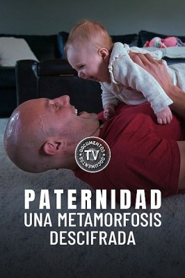 Paternidad, una metamorfosis descifrada