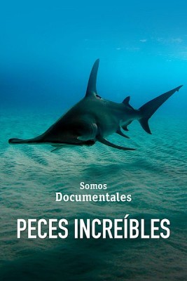 Peces increíbles