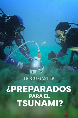 ¿Preparados para el Tsunami?