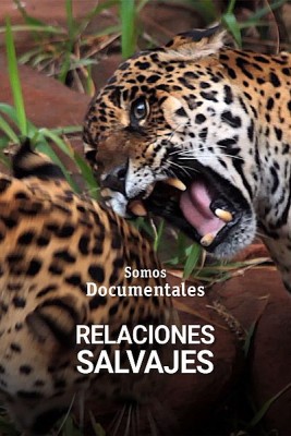 Relaciones salvajes
