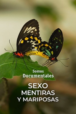 Sexo, mentiras y mariposas