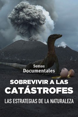 Sobrevivir a las catástrofes. Las estrategías de la naturale