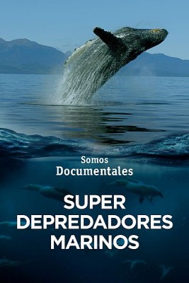 Super depredadores marinos
