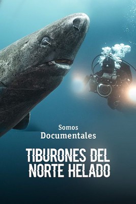 Tiburones del norte helado