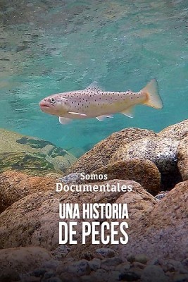 Una historia de peces