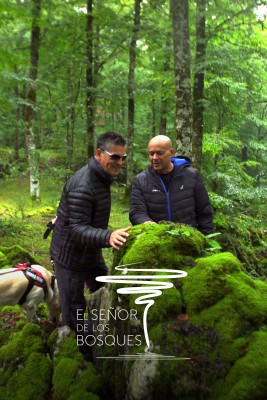 El señor de los bosques