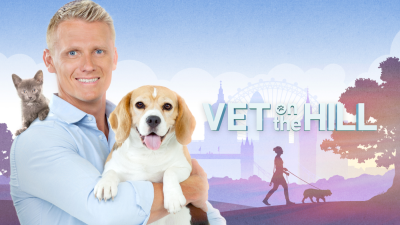 Veterinario en la ciudad
