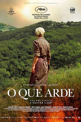 O que arde