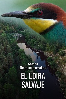 El Loira salvaje
