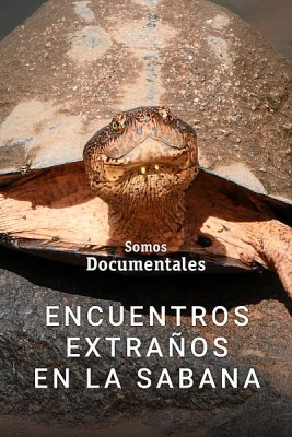 Encuentros extraños en la sabana