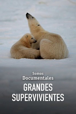 Grandes supervivientes