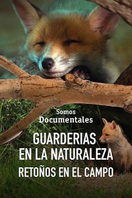 Guarderías en la naturaleza. Retoños en el campo