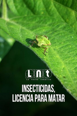 Insecticidas, licencia para matar