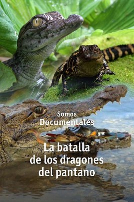 La batalla de los dragones
