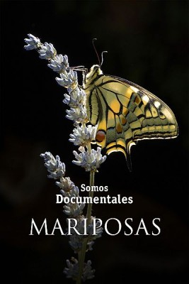 Mariposas
